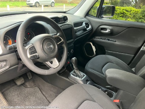 Jeep RENEGADE 1.8 FLEX 2019/2020